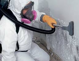 Biohazard Mold Removal in Joliet, IL